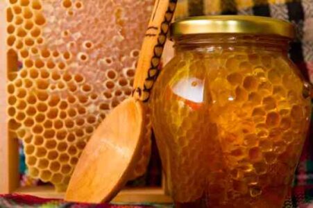 Feedback on Chicken Diseases, Rattlesnakes and Natural Hay Fever Remedies Image